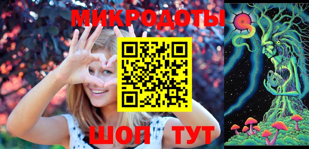 Псилоцибиновые грибы Psilocybe  Вход с VPN  Галлюциногенные грибы мухоморы  Тверь 